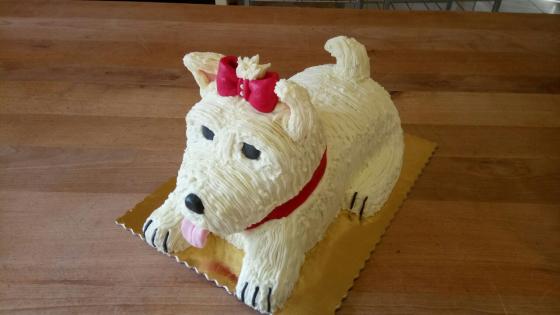 Torta pes