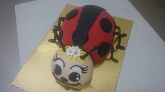 Torta lienka